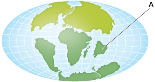 Refer to the figure, which illustrates Earth during the Cretaceous period.   What is the land mass labeled A? A)  Pangaea B)  Gondwana C)  Laurasia D)  Australia E)  The Indian Subcontinent