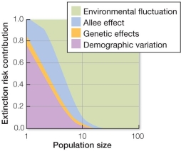 Refer to the figure to interpret the relative contribution of various risk factors toward the possible local extinction of a species.   Which of the following would be most likely to cause the local extinction of a population of kelp with fewer than three individuals? A)  Random changes in birth or death rates B)  Low genetic variation associated with small populations C)  A change in temperature, water quality, or sunlight availability D)  Disadvantages associated with low population density E)  A complex interaction between demographic variation and genetic effects