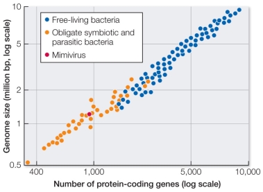 Refer to the figure, which shows a scatterplot of genome size versus number of protein-coding genes found in different classes of microbes.   Based on these data, state and justify the most likely origin of the mimivirus, and present an alternative hypothesis for the origin of this and other viruses.