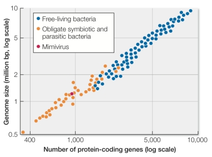 Refer to the figure.   According to these data, evidence that mimiviruses are derived from reduced parasitic symbionts includes the A)  size and composition of the mimivirus genome relative to other organisms. B)  the similarities between the mimivirus and free-living bacteria. C)  types of genes found in the mimivirus genome. D)  size of the mimivirus alone. E)  fact that mimiviruses have a double-stranded DNA genome.