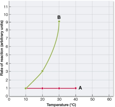 Refer to the graph.   The Q<sub>10</sub> of the reaction shown at A is _______, and the Q<sub>10</sub> of the reaction shown at B is _______.
