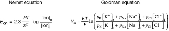 The Nernst and Goldman equations shown are used to predict membrane potentials.   In the Goldman equation,  o  stands for outside or extracellular,  i  stands for inside or intracellular, and  p  stands for permeability.To use the Goldman equation as expressed to calculate the membrane potential of a cell, you must know the _______, as well as the membrane permeability for these ions. A)  total number of ions crossing the membrane B)  intracellular and extracellular concentrations of ions that cross the membrane C)  fraction of the ions crossing the membrane that are positive D)  concentration of the ions that are entering the cell E)  different charges on all the ions involved