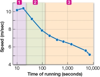 Refer to the graph showing world record times for running events of different durations.Each colored band in the graph (labeled 1-3)  corresponds to the time courses of the three energy systems that supply fuel to the muscles.   During which time period(s)  are mitochondria the main source of ATP for the runner's muscles? A)  Time period 1, approximately 0-10 seconds B)  Time period 1, approximately 0-30 seconds C)  Time period 2, approximately 30-120 seconds D)  Time periods 2 and 3, approximately 30-10,000 seconds E)  Time period 3, approximately 120-10,000 seconds