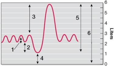 Refer to the graph showing a spirometer tracing.   Which term is paired correctly with its location on the spirometer tracing? A)  1 - Inspiratory reserve volume B)  2 - Tidal volume C)  3 - Vital capacity D)  4 - Residual volume E)  5 - Total lung capacity