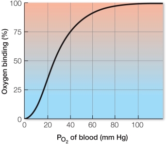 Refer to the figure showing the hemoglobin-oxygen binding/dissociation curve.   Which statement about hemoglobin's O<sub>2</sub>-binding/dissociation curve is true? A)  At rest, our body's hemoglobin activity can be illustrated by only the upper one-fourth of its O<sub>2</sub>-binding/dissociation curve. B)  A smaller decrease in PO<sub>2</sub> is required for hemoglobin to drop from 100 to 75% saturation than for hemoglobin to drop from 75 to 50% saturation. C)  Our blood normally carries a small reserve of O<sub>2</sub>. D)  The steepest part of the O<sub>2</sub>-binding/dissociation curve results in a small release of O<sub>2</sub> for a large drop in PO<sub>2</sub>. E)  The PO<sub>2</sub> of our blood drops well below 40 mm Hg during light exertion.