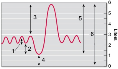Refer to the figure.   The figure shows a tracing of ventilation volumes that would be typical of your own breathing when at rest.If you started running, which arrow(s) would increase in length, as the peaks changed size in the tracing?