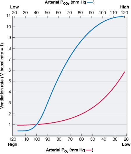Refer to the graph showing ventilation rates in a human.   As you run up a steep hill, your ventilation rate increases as you breathe faster and more deeply.This increase in ventilation rate is being caused primarily by an increase in the partial pressure of which gas carried in your blood? Based on the graph, what change in arterial PO<sub>2</sub> would bring about the same change in ventilation rate as an increase in arterial PCO<sub>2</sub> from 40 mm Hg to 50 mm Hg?