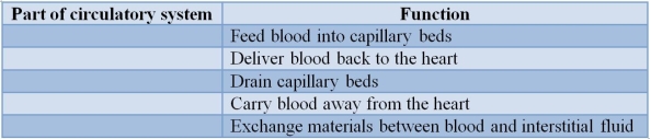Refer to the table.   Complete the table by matching each component of the vertebrate circulatory system to its function.The order should be from first row to last row. A)  Capillaries, Veins, Arteries, Venules, Arterioles B)  Arteries, Capillaries, Veins, Venules, Arterioles C)  Veins, Venules, Arteries, Arterioles, Capillaries D)  Venules, Veins, Arterioles, Arteries, Capillaries E)  Arterioles, Veins, Venules, Arteries, Capillaries