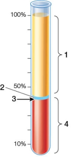 Refer to the figure.   Which of the following about the figure is false. A)  The substance labeled 1 contains water, salts, and plasma proteins. B)  Number 2 indicates white blood cells and platelets. C)  Number 3 indicates the hematocrit. D)  The substance labeled 4 contains cells that transport oxygen and carbon dioxide. E)  The substance labeled 1 is called the buffy coat.