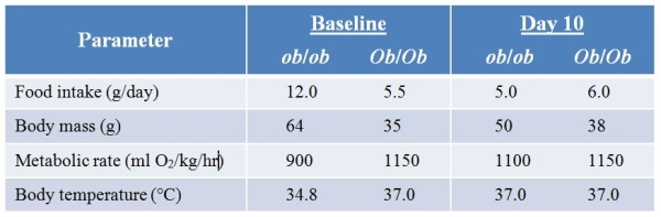Refer to the table.In mice, a single-gene mutation can lead to obesity.The Ob gene codes for the protein leptin.The recessive ob allele is a loss-of-function allele, so ob/ob mice do not produce leptin, and they become obese.In an experiment, leptin was injected into ob/ob and Ob/Ob (wild-type)  mice daily.The data in the table below were collected before the injections began (baseline)  and 10 days later.(Assume that the Ob allele is dominant.)    What conclusion can be drawn from the data in the table? A)  The mutant mice gain more weight, but they do not eat more, than wild-type mice. B)  Though a mutant mouse that is unable to produce leptin eats more than a wild-type mouse, injecting leptin causes the mutant mouse to eat normally. C)  When leptin levels are increased above normal, a mouse eats less and loses weight. D)  Metabolic rates are lower in wild-type mice than in mutant mice. E)  Metabolic rates in mutant mice are negatively correlated with their body temperatures.