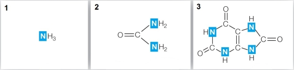 Refer to the figure showing waste products of metabolism.   Based on the figure, which statement is false? A)  The nitrogenous waste labeled 3 allows animals such as reptiles and insects to live in very arid environments. B)  The nitrogenous waste labeled 1 diffuses from the gills of tadpoles. C)  The nitrogenous waste labeled 3 is excreted as a liquid and can result in significant water loss. D)  Aquatic invertebrates excrete the nitrogenous waste labeled 1. E)  Sharks and rays retain the nitrogenous waste labeled 2 in their extracellular fluids.
