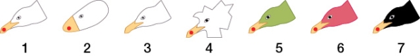 Refer to the figure showing models of gull heads of different shapes and colors.   In this example, what would ethologists call the pecking response of the chick? What would ethologists call the red dot?