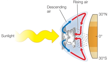Refer to the figure below.   In air circulation at the tropics, what is responsible for the rain? A)  As air warms in the tropics, it drops rain when it becomes supersaturated. B)  As air rises and cools, it holds less moisture and drops the excess as rain. C)  As air rises, it becomes less dense and therefore less able to hold moisture. D)  As air rises, it meets sunlight entering the atmosphere, which stimulates rain. E)  As air descends, it becomes warmer, and warm air is less able to hold moisture.