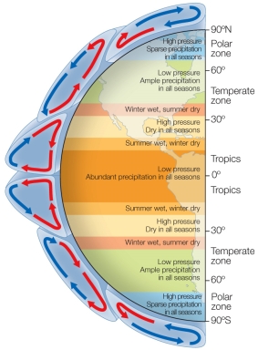 Refer to the diagram below.   Based on the diagram, which regions have a climate that has low pressure areas with high precipitation throughout the year? A)  Polar regions only B)  Tropical regions only C)  Temperate regions only D)  Both polar and temperate regions E)  Both temperate and tropical regions
