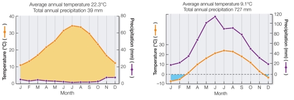 Refer to the diagrams below.   The Walter climate diagrams illustrate typical annual temperature and precipitation values for which two biomes? A)  Left: desert; right: boreal forest B)  Left: desert; right: temperate grassland C)  Left: tundra; right: boreal forest D)  Left: temperate deciduous forest; right: temperate grassland E)  Left: temperate grassland; right: temperate deciduous forest