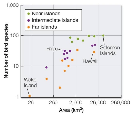 Refer to the graph below, which represents island size, distance from New Guinea, and number of bird species present.   Based on the diagram, which statement best summarizes the relationship of the three factors described? A)  The most bird species are found on medium-sized islands, an intermediate distance from New Guinea. B)  The islands farthest from New Guinea are the smallest and have the fewest bird species. C)  The most bird species are found on the largest islands that are closest to New Guinea. D)  The fewest bird species are found on the smallest islands, regardless of distance from New Guinea. E)  There is no correlation among island size, distance from New Guinea, and species number.