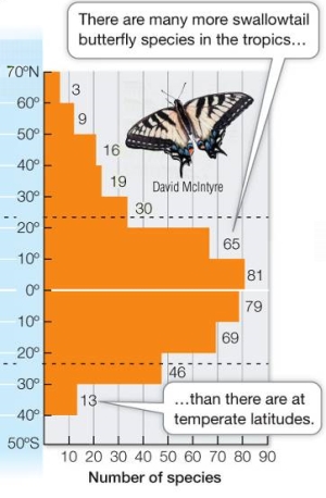 Refer to the graph below.   Consider the information in the graph.How does it relate to the type of information obtained by early explorers as they observed plant and animal distribution around the world? Do their observations still hold true today? Why or why not?