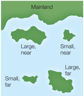 Refer to the figure below.   How is species diversity likely to differ on the four types of islands shown on the map? Explain your answer.