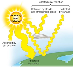 Refer to the figure below, showing solar energy absorption by Earth's surface and atmosphere.   According to the diagram, the greatest amount of incoming solar radiation is A)  absorbed by Earth's atmosphere. B)  absorbed by Earth's surface. C)  reflected by Earth's surface. D)  reflected by clouds and gases. E)  radiated from Earth's surface as heat.