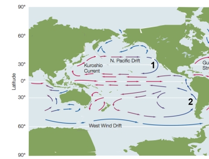 Refer to the figure, showing ocean surface currents in the Pacific Ocean.   Based on what you know about prevailing winds, which statement correctly defines the winds causing currents 1 and 2? A)  Currents 1 and 2 are caused primarily by easterlies. B)  Currents 1 and 2 are caused primarily by trade winds. C)  Current 1 is caused primarily by easterlies and current 2 by westerlies. D)  Current 1 is caused primarily by westerlies and current 2 by easterlies. E)  Current 1 is caused primarily by trade winds and current 2 by westerlies.