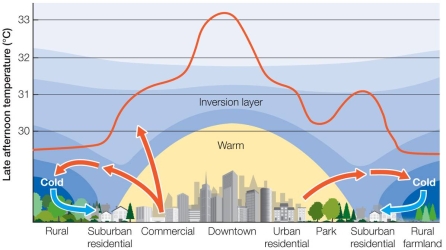 Refer to the figure below.   Research shows that, compared to nonurban areas, urban heat islands raise nighttime temperatures more than they raise daytime temperatures.What factor shown in the figure might account for this difference? A)  Cold air from rural areas does not enter the city at night. B)  Urban structures absorb heat during the day and give it off at night. C)  The inversion layer, which raises temperature, is present only at night. D)  Parks are not undergoing photosynthesis at night, thereby raising temperatures. E)  Suburban residential structures shield the city at night, holding warm temperatures in.