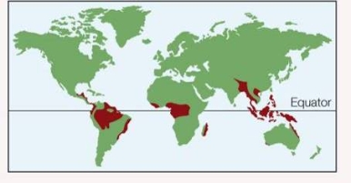 Refer to the figure below.   The biome represented by the red areas is likely to have what temperature and precipitation characteristics? A)  Warm or hot temperatures, low precipitation B)  Warm or hot temperatures, high precipitation C)  Moderate temperatures, low precipitation D)  Moderate temperatures, high precipitation E)  Moderate temperatures, moderate precipitation