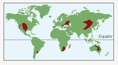 Refer to the figure below.   The biome represented by the red areas is likely to have what type of primary vegetation? A)  Deciduous trees B)  Coniferous trees C)  Water-conserving plants D)  Perennial grasses and forbs E)  Rainforest trees and epiphytes