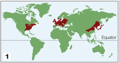 Refer to the figures, showing the locations of two biomes.     Which biomes do these figures most likely represent? A)  Map 1, boreal forest; map 2, tropical forest B)  Map 1, temperate evergreen forest; map 2, chaparral C)  Map 1, temperate deciduous forest; map 2, hot desert D)  Map 1, thorn forest; map 2, tropical savanna E)  Map 1, temperate grasslands; map 2, cold desert