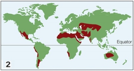 Refer to the figures, showing the locations of two biomes.     Which biomes do these figures most likely represent? A)  Map 1, boreal forest; map 2, tropical forest B)  Map 1, temperate evergreen forest; map 2, chaparral C)  Map 1, temperate deciduous forest; map 2, hot desert D)  Map 1, thorn forest; map 2, tropical savanna E)  Map 1, temperate grasslands; map 2, cold desert