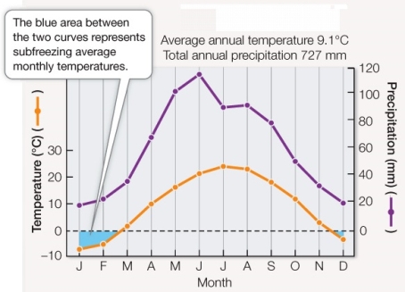 The Walter climate diagram below suggests a _______ biome characterized by _______.   A)  desert; cacti and other water-conserving plants B)  temperate grassland; perennial grasses and forbs C)  boreal forest; coniferous trees, such as fir and spruce D)  temperate deciduous forest; deciduous trees, such as oaks E)  temperate evergreen forest; trees like the coast redwood
