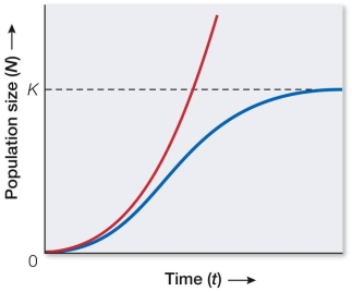 Refer to the graph below.   The size of a deer population in an enclosed, protected area was measured over several years and found to be following the red (left)  growth curve shown.After several years of drought, its population size more closely followed the blue (right)  curve.What factor probably caused the change in the deer's population growth? A)  Emigration B)  Immigration C)  Genetic alterations D)  Food or water limitations E)  A flood or hurricane