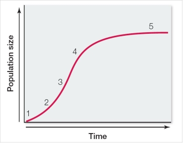 In the logistic population growth curve shown here, the rate of growth is greatest at which point?   A)  1 B)  2 C)  3 D)  4 E)  5