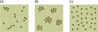 Study the three dispersion types (A-C) below.Name them, briefly explain the conditions under which each occurs, and provide an example of each.