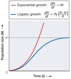 Explain, in terms of the equations and in terms of resource availability, what happens in a population to cause it to change from exponential growth to logistic growth.  