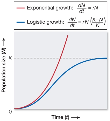 Refer to the figure comparing exponential and logistic growth.   The extra term   in the logistic equation takes into account which factor(s) ? A)  Fecundity B)  Carrying capacity C)  The Allee effect D)  Climatic factors E)  Destruction of habitat