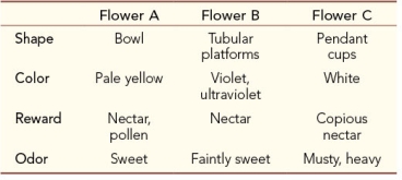 Refer to the tables below.The first shows the types of flowers preferred by various pollinators.The second shows the characteristics of three different flowers.Some flowers attract only one kind of pollinator; others have characteristics that attract more than one.     Flower C is most likely to attract A)  bats and beetles. B)  butterflies and moths. C)  moths and bats. D)  butterflies and bees. E)  bees and beetles.