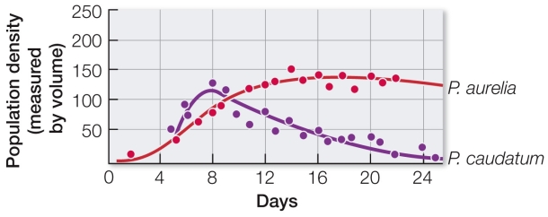 Refer to the figures showing results of laboratory experiments that grew two species of Paramecium together.     What types of competition are occurring in each of the two graphs?