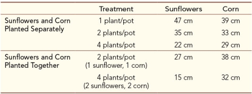 Refer to the table below showing the results of a greenhouse experiment.Sunflowers and corn plants are grown in 6-inch pots in treatments of varying plant densities and plant combinations.There are ten pots per treatment.All pots contain the same amount of potting soil and receive the same amount of water and sunlight.After 2 months, the heights of the plants in each pot are measured and averaged.   Describe the effects of intraspecific competition in the two species.