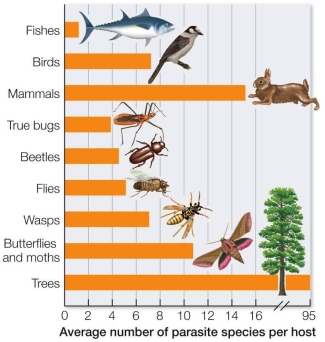 Refer to the graph below showing the average number of parasite species per host, separated by host types.   Which factor most likely accounts for the great specialization of parasites on trees, as compared with the various animal groups? A)  Trees are stationary. B)  Trees maintain a stable temperature. C)  Trees provide better nutrients than animals do. D)  Trees are present around the world. E)  The surface areas and volumes of trees are greater than those of animals.