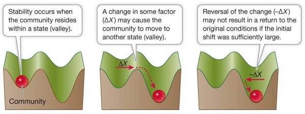 Refer to the figure.   The process illustrated in the figure is known as A)  primary succession. B)  secondary succession. C)  hysteresis. D)  inhibition. E)  facilitation.