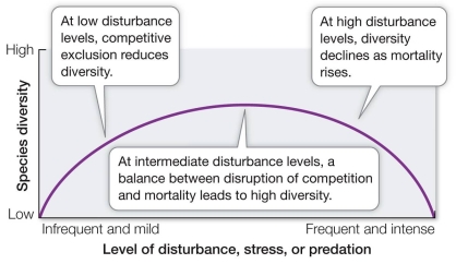 The diagram illustrates the intermediate disturbance hypothesis, which correlates the degree of disturbance in a community with the level of species diversity attained by that community.Assume that a dominant plant species is strongly affected by a disturbance and is less able to obtain resources than before the disturbance.Compare the future species diversity of the community under conditions of low, medium, and high levels of disturbance.  