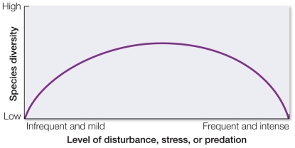 Refer to the figure.   According to the intermediate disturbance hypothesis represented in the figure, species diversity in a community will be highest when the community A)  is left undisturbed. B)  experiences high stress. C)  is moderately disturbed. D)  has little or no competition. E)  has a high likelihood of extinctions.