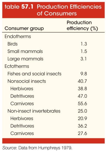 Refer to the table.   In general, according to the table, which group of ectotherms is most efficient at storing energy as biomass? A)  Nonsocial insect carnivores B)  Nonsocial insect detritivores C)  Nonsocial insect herbivores D)  Non-insect invertebrate detritivores E)  Non-insect invertebrate carnivores