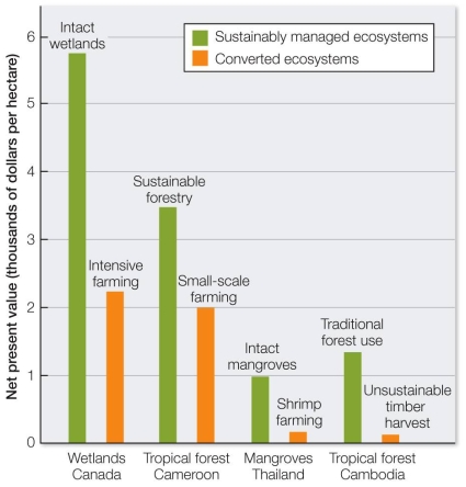 Refer to the graph.   Based on the results in the graph, is sustainable management of ecosystems profitable, and on what do you base your response? A)  Yes; the values of all sustainable systems are more than double those of unsustainable systems. B)  Yes; the values of all sustainable systems are significantly greater than those of unsustainable systems. C)  Sometimes; the values of all systems except  tropical forest Cameroon  are great enough to be profitable. D)  No; factors other than dollar value must be taken into account to determine profitability. E)  No; the differences in values are not great enough to ensure profitability of sustainable systems.