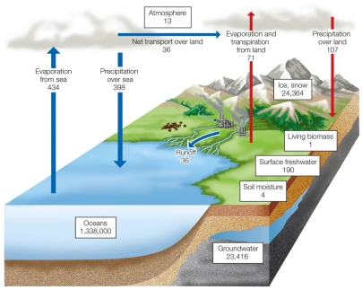 Refer to the figure.   Based on the values in the figure plus your understanding of the hydrologic cycle, what effects do you think rapid melting of ice and snow would have on the cycle? What pools and fluxes would be most affected, and how would they be affected?