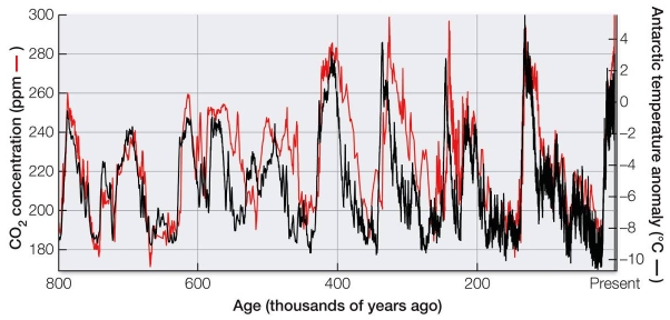 Refer to the graph.   The graph shows both atmospheric CO<sub>2</sub> concentration and Antarctic atmospheric temperature anomaly over the past 800,000 years.Discuss the significance of the correlation between these two factors.How do they relate to climate change today?