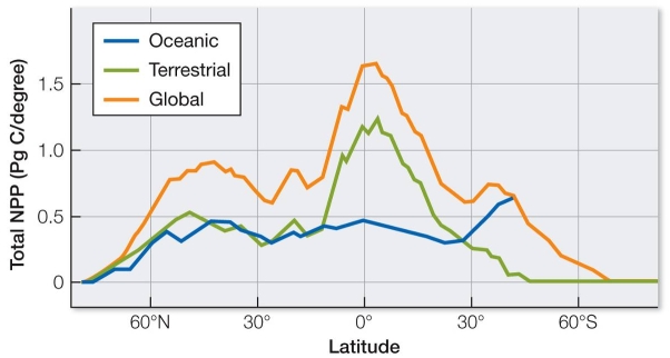 Refer to the graph.   Based on the graph, which is the best comparison that can be made between oceanic and terrestrial ecosystems? A)  The two systems show approximately the same trends, regardless of latitude. B)  Oceanic systems show higher NPP than terrestrial systems at all latitudes. C)  Oceanic systems show lower NPP at all latitudes, but they show a peak at high latitudes. D)  Terrestrial systems show higher NPP at most latitudes, with a large peak at low latitudes. E)  Terrestrial systems show higher NPP at high latitudes, but much lower NPP at low latitudes.