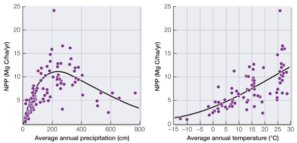 Refer to the graphs.   The highest NPP would occur under which combination of temperature and precipitation? A)  0°C and 50 cm B)  12°C and 100 cm C)  15°C and 500 cm D)  25°C and 600 cm E)  27°C and 250 cm