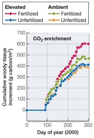 Refer to the graph.   The FACE experiment conducted in a North Carolina pine forest analyzed the effects of two factors on forest NPP.These two factors were A)  low and high levels of CO<sub>2</sub>. B)  low and high levels of nitrogen fertilization. C)  levels of CO<sub>2</sub> and nitrogen fertilization. D)  levels of CO<sub>2</sub> and atmospheric temperature. E)  levels of nitrogen and atmospheric temperature.