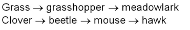 An ecosystem contains two food chains:   A major drought disturbs both food chains.Which one is likely to recover first? A)  The first because it is shorter B)  The second because it is longer C)  The first because it has no top predator D)  The second because it has a top predator E)  Neither
